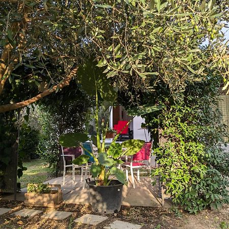Willa La Maison Sous L'Olivier Morieres-les-Avignon Zewnętrze zdjęcie