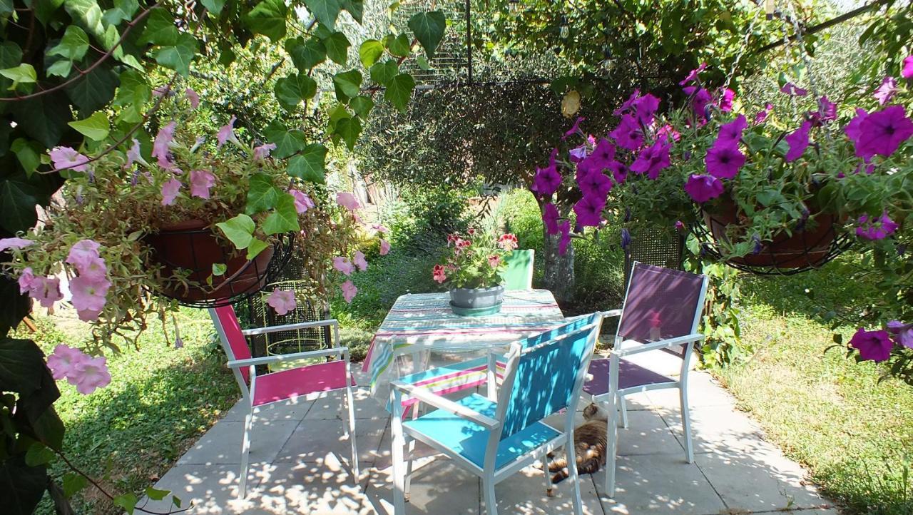 Willa La Maison Sous L'Olivier Morieres-les-Avignon Zewnętrze zdjęcie