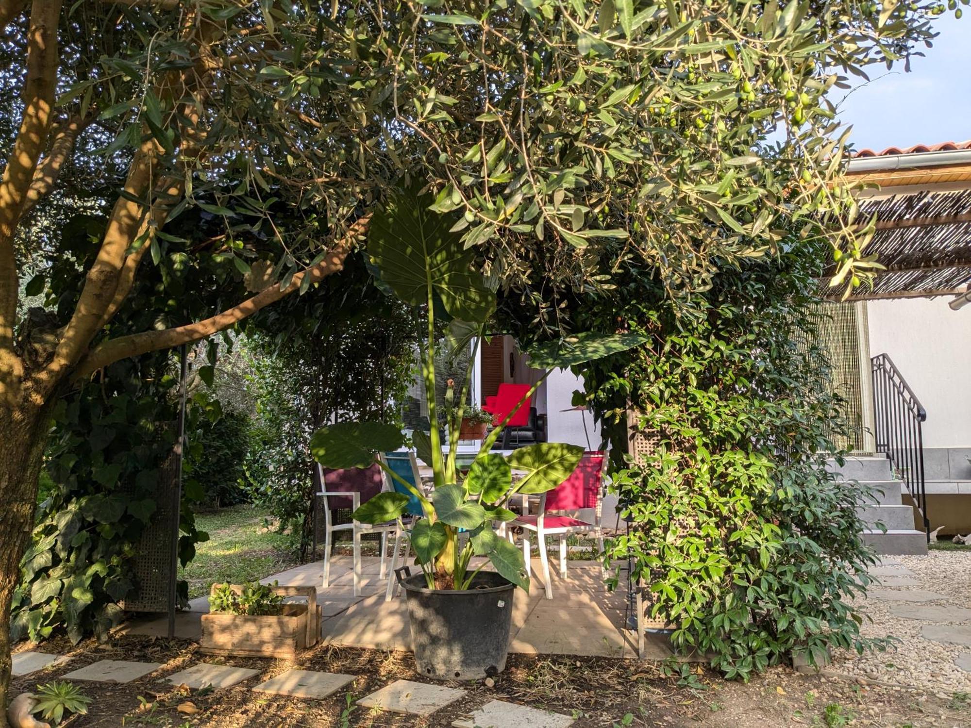 Willa La Maison Sous L'Olivier Morieres-les-Avignon Zewnętrze zdjęcie
